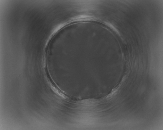 X0000068291413200604211125