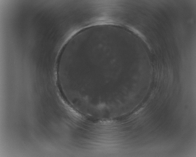 X0000068291415200604211125