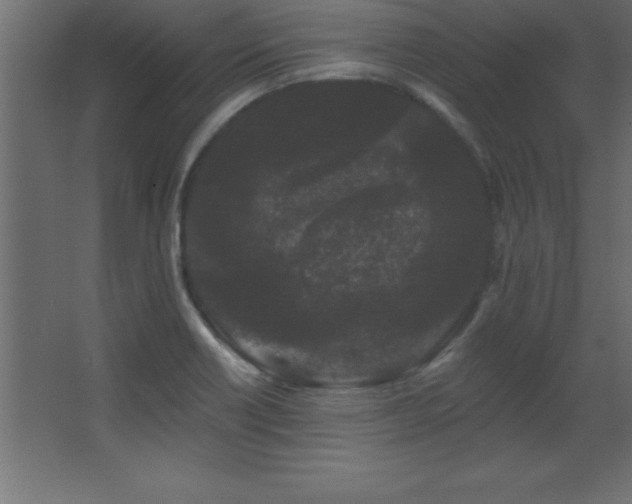 X0000068291418200604211125