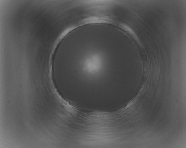 X0000068291419200604211125