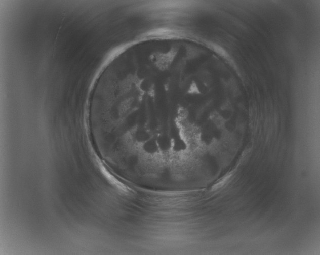 X0000068291421200604211125