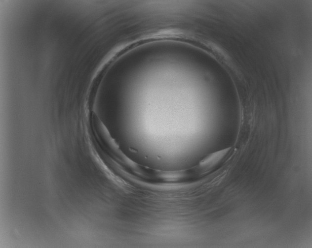 X0000068291422200604211125