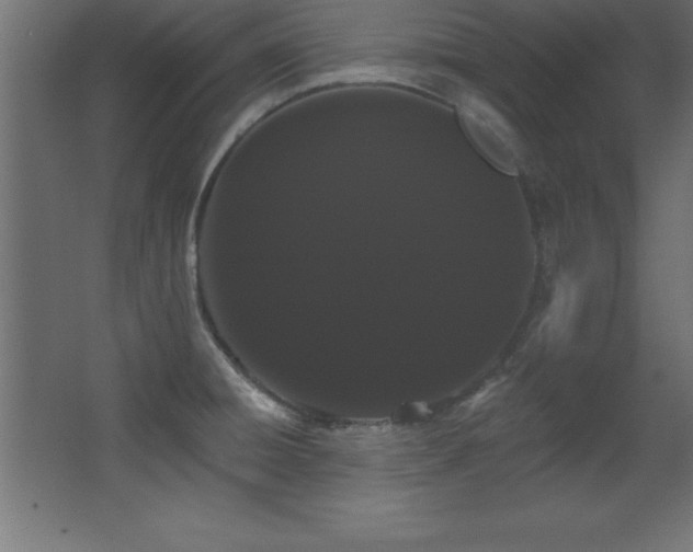 X0000068291428200604211125