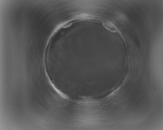 X0000068291429200604211125