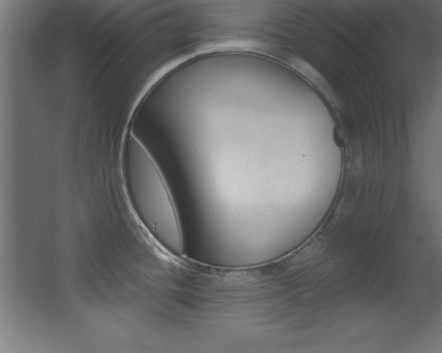X0000068291436200604211125