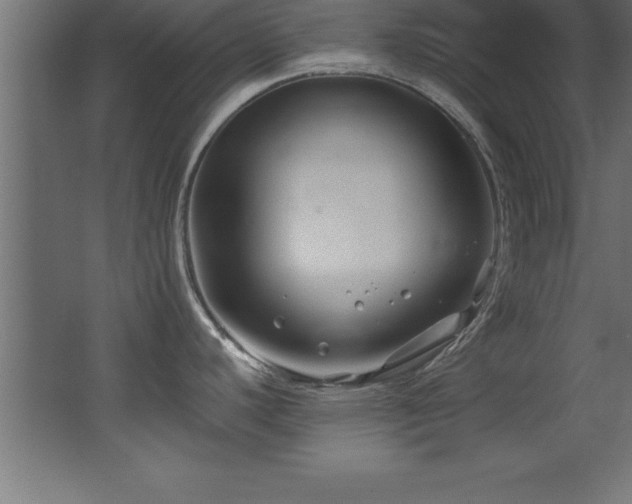 X0000068291440200604211125