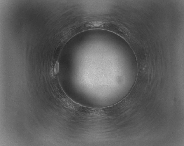 X0000068291442200604211125