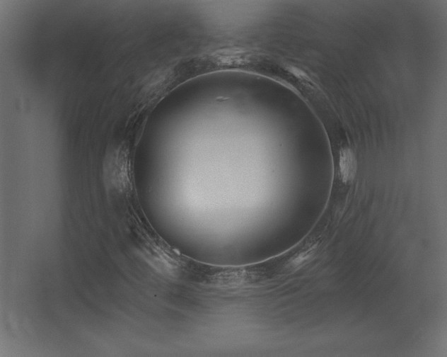 X0000068291444200604211125