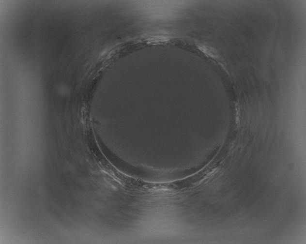 X0000068291445200604211125
