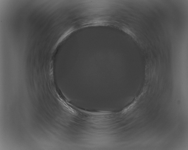 X0000068291450200604211124