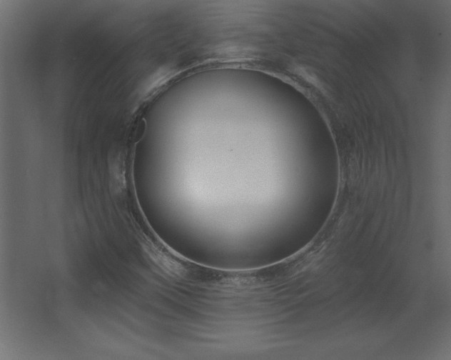 X0000068291451200604211124