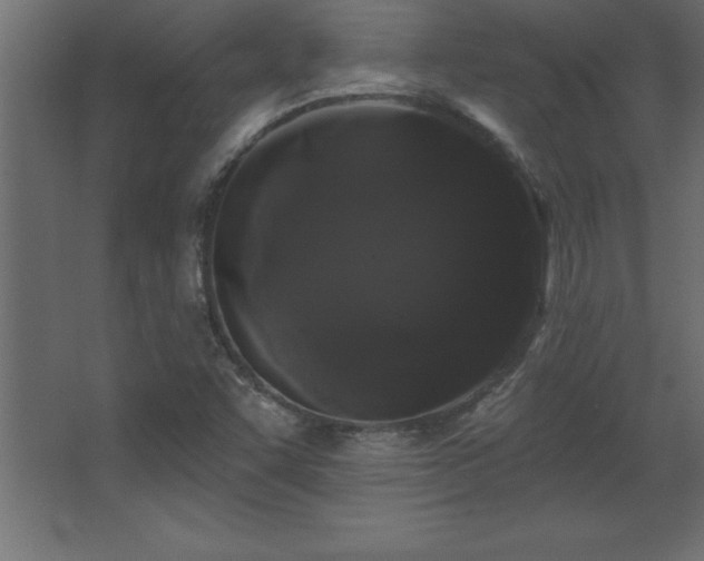 X0000068291455200604211124
