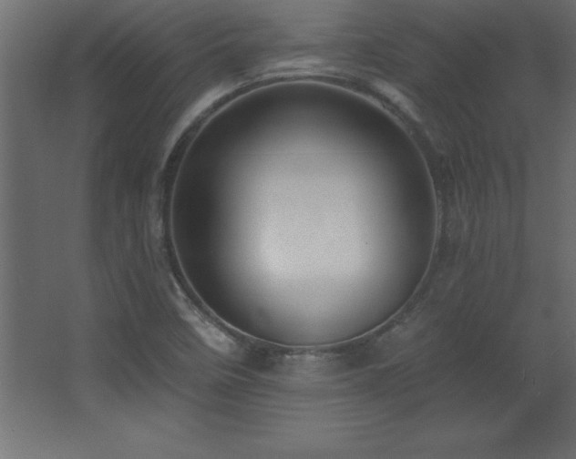 X0000068291458200604211124