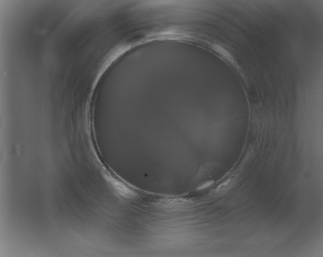 X0000068291474200604211124