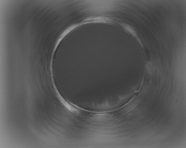 X0000068291482200604211124