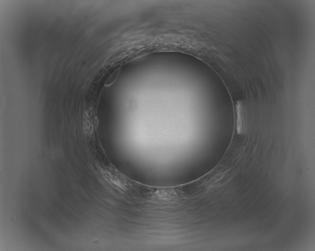 X0000068291491200604211123