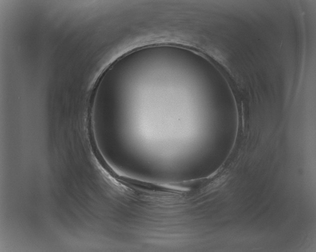 X0000068291500200604211123