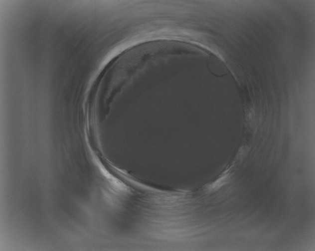 X0000068291515200604211123