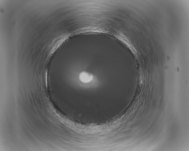 X0000068290014200604241310