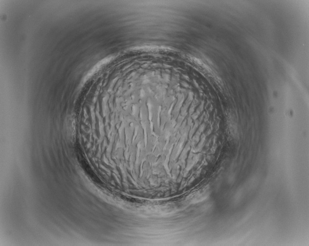 X0000068290016200604241310