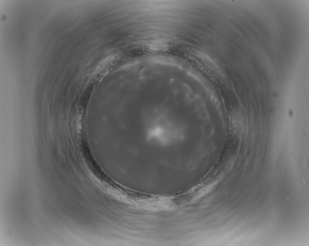 X0000068290032200604241310