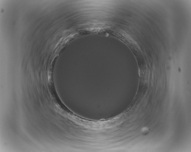 X0000068290035200604241310