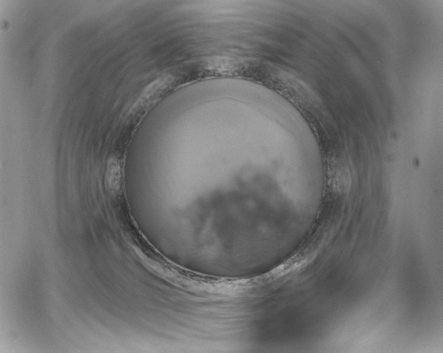 X0000068290036200604241310