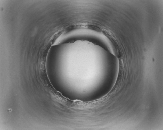 X0000068290037200604241310