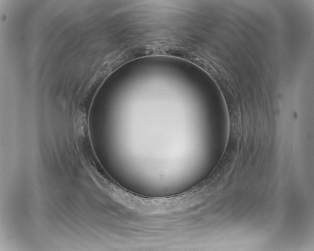 X0000068290038200604241310