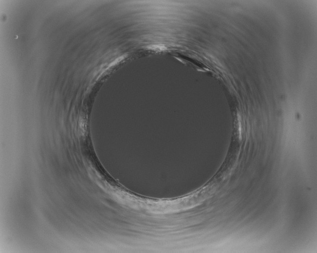 X0000068290039200604241310
