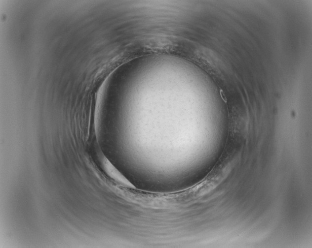 X0000068290040200604241310