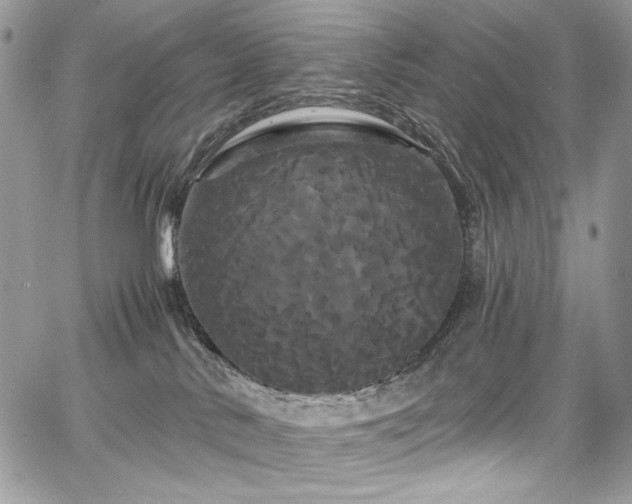 X0000068290042200604241310