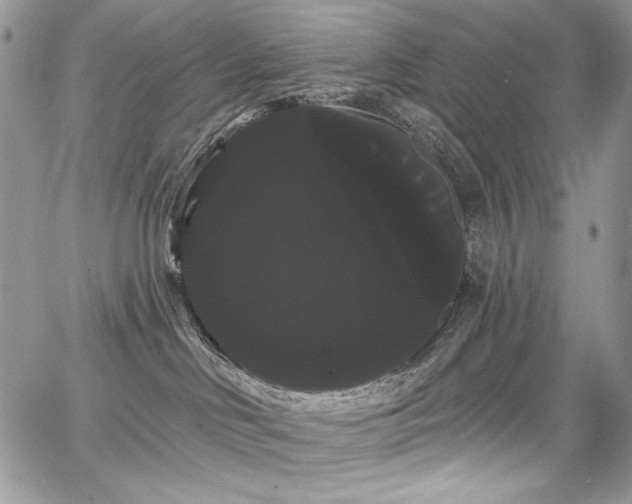 X0000068290046200604241310