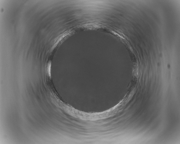 X0000068290047200604241310