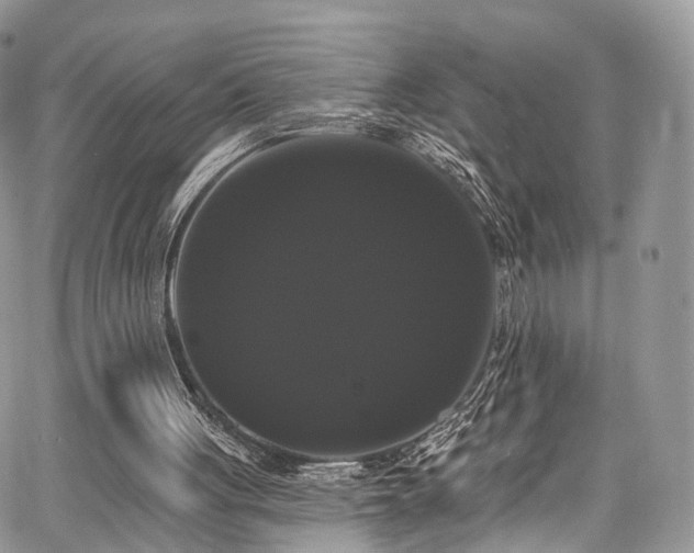 X0000068290051200604241309