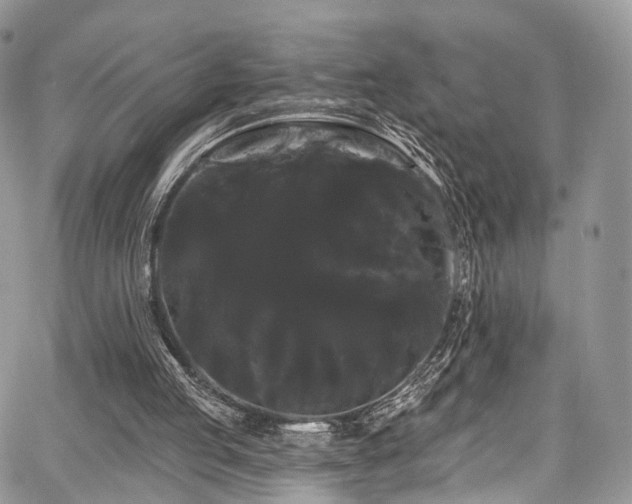 X0000068290053200604241309