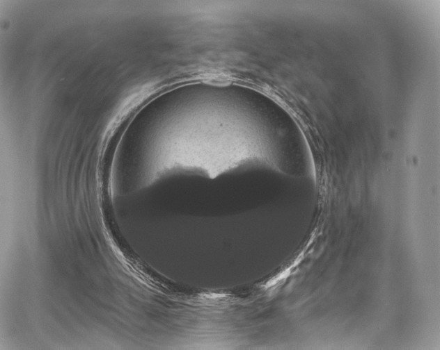 X0000068290055200604241309