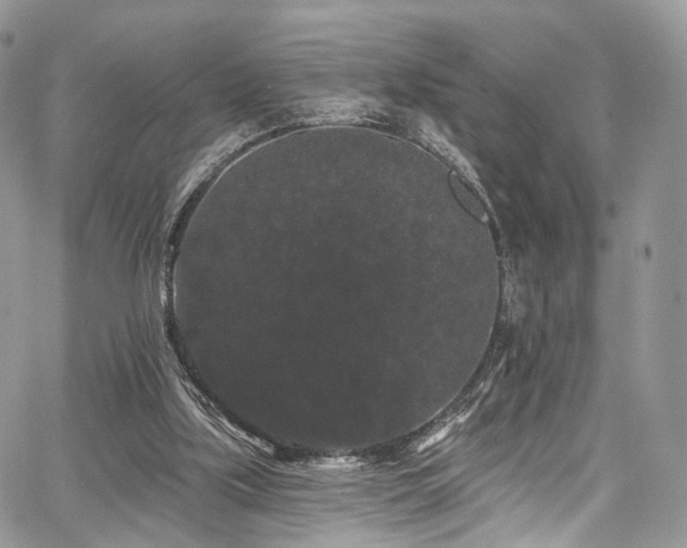 X0000068290059200604241309