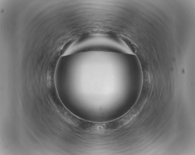X0000068290080200604241310