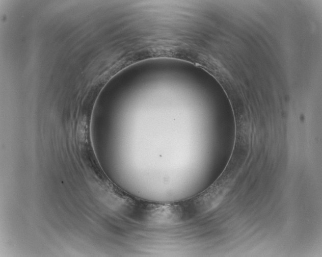 X0000068290083200604241310