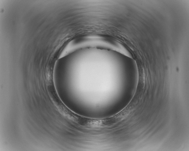 X0000068290084200604241310