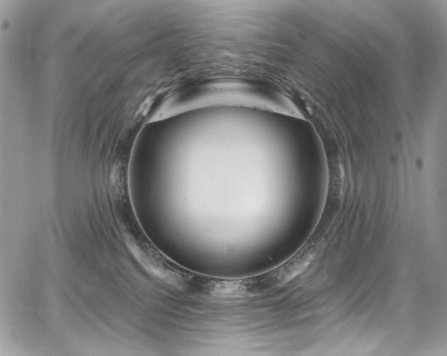 X0000068290088200604241310