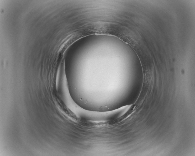 X0000068290092200604241310