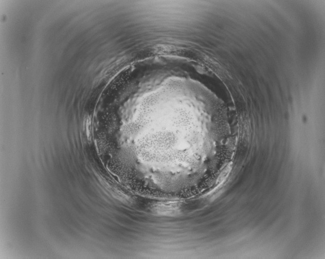 X0000068290094200604241310
