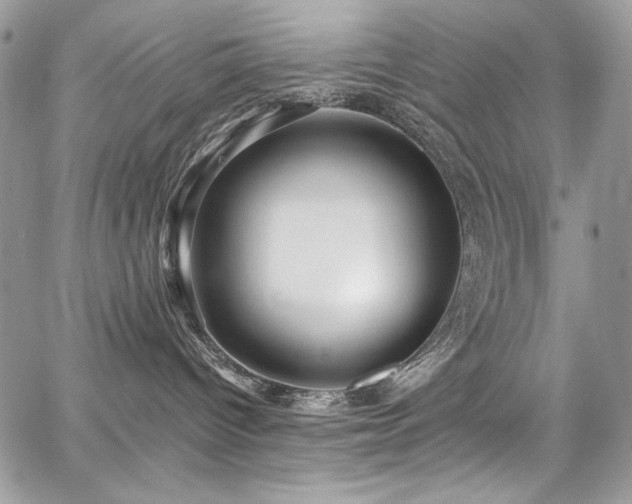 X0000068290096200604241310
