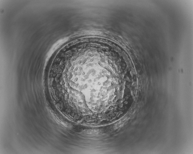 X0000068290104200604241309