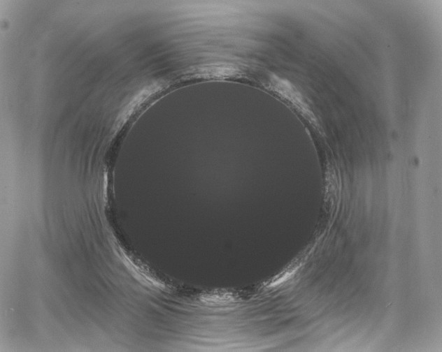 X0000068290110200604241309