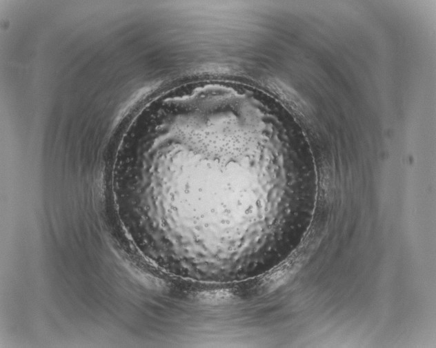 X0000068290112200604241309