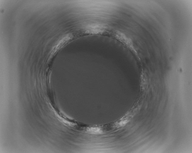X0000068290114200604241309