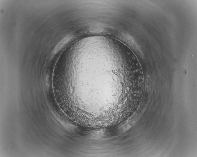 X0000068290116200604241309